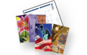 Digital Monthly Calendar